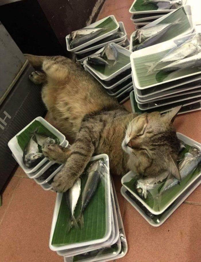 Daily Pictures. Part 1 (69 pics) Daily Pictures. Part 1 (69 pics)