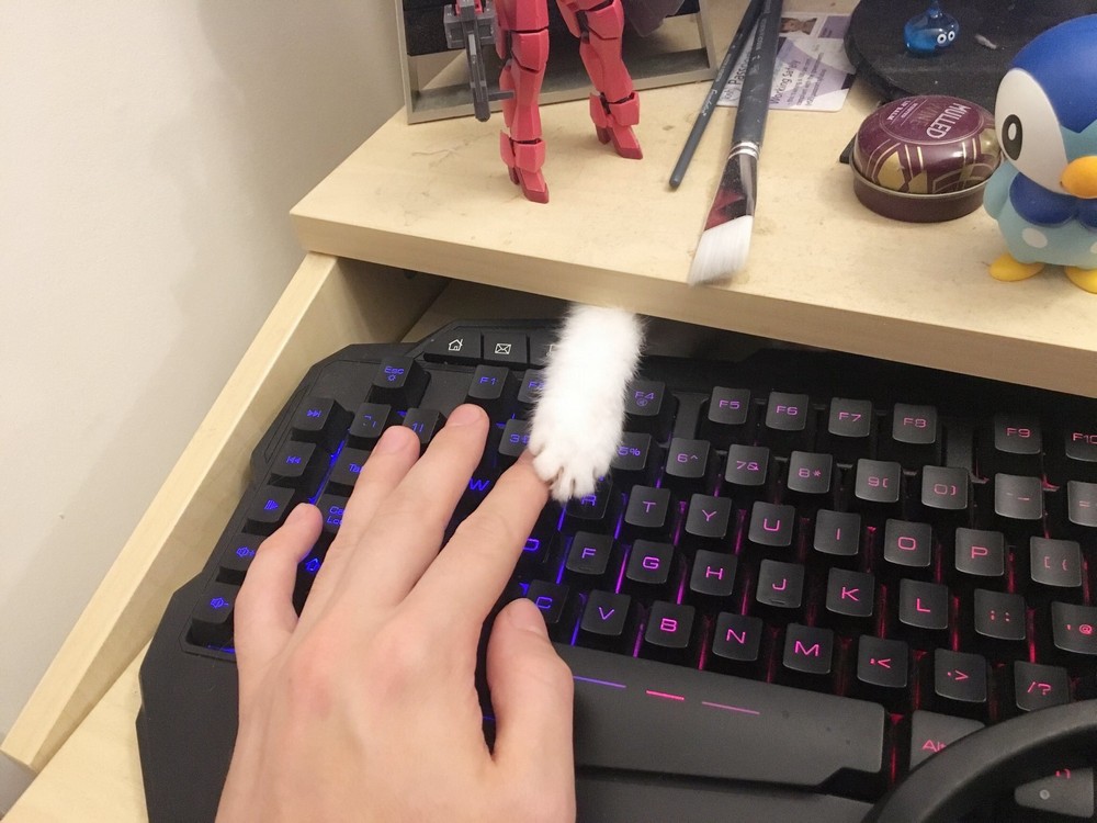 Daily Pictures. Part 2 (68 pics)