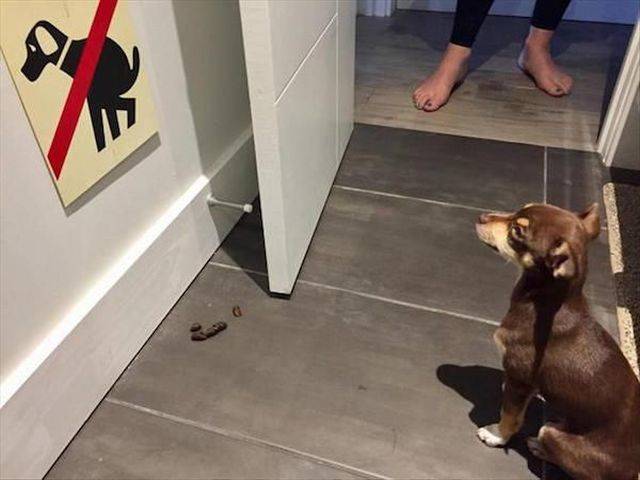 Daily Pictures. Part 2 (68 pics)