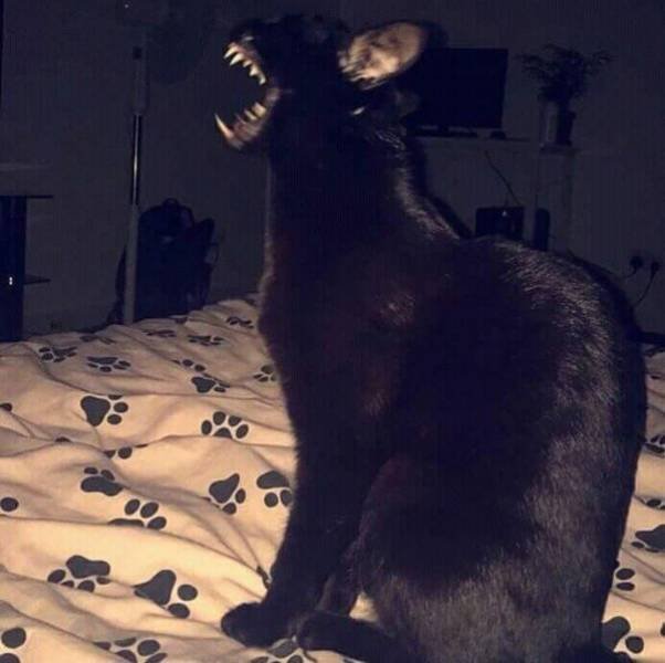 Daily Pictures. Part 2 (68 pics)