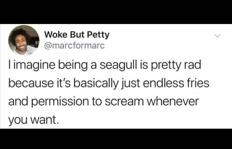 Daily Pictures. Part 2 (68 pics)