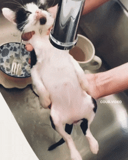 Acid GIFs, January 23 (25 gifs) Acid GIFs, January 23 (25 gifs)