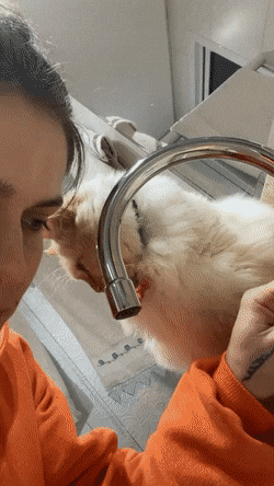 Acid GIFs, January 23 (25 gifs) Acid GIFs, January 23 (25 gifs)