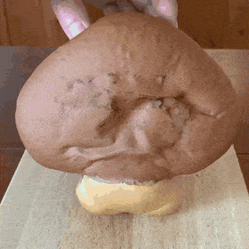 Acid GIFs, January 23 (25 gifs) Acid GIFs, January 23 (25 gifs)