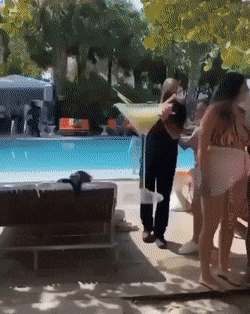 Acid GIFs, January 23 (25 gifs) Acid GIFs, January 23 (25 gifs)