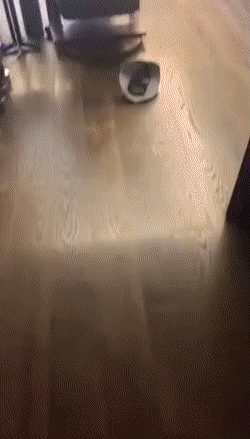 Acid GIFs, January 23 (25 gifs) Acid GIFs, January 23 (25 gifs)