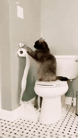 Acid GIFs, January 23 (25 gifs) Acid GIFs, January 23 (25 gifs)