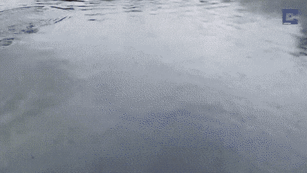 Acid GIFs, January 23 (25 gifs) Acid GIFs, January 23 (25 gifs)