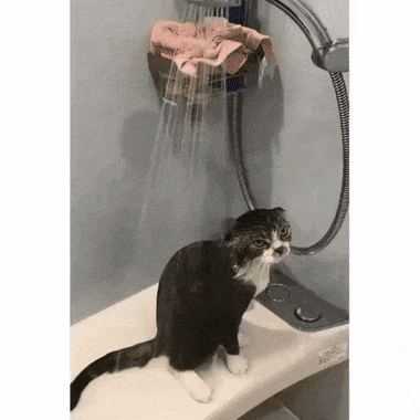 Acid GIFs, January 23 (25 gifs) Acid GIFs, January 23 (25 gifs)