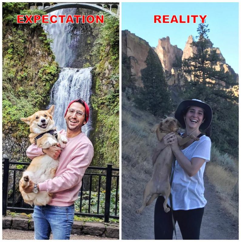 Expectations Against Reality (17 pics)