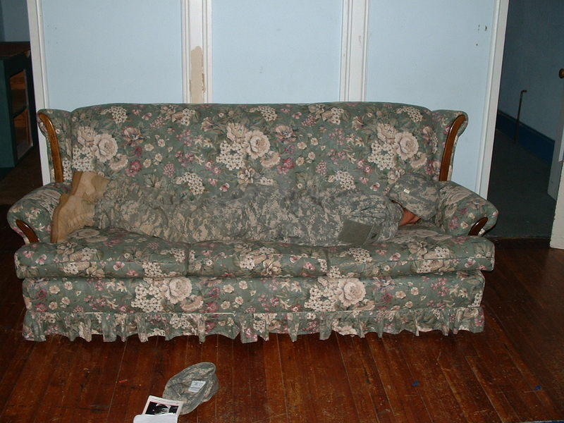 Perfect Camouflage (15 pics)