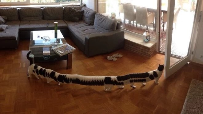 Failed Panoramic Photos (27 pics)