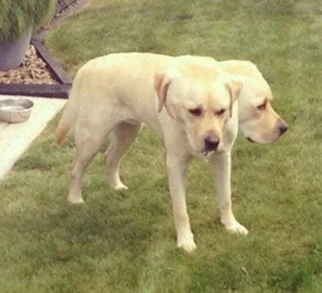 Failed Panoramic Photos (27 pics)