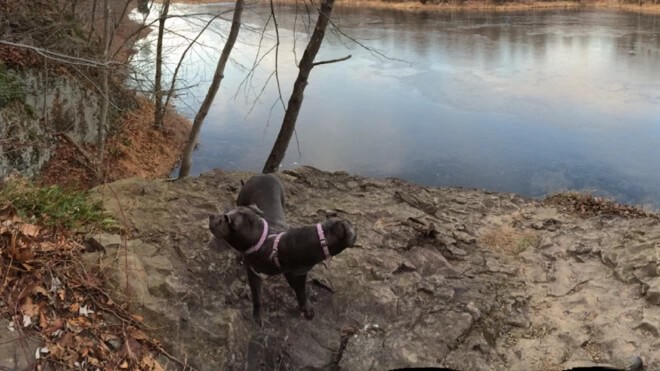 Failed Panoramic Photos (27 pics)