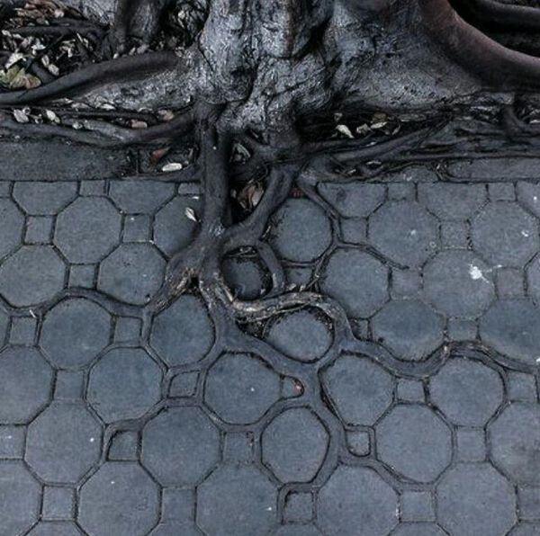 Photos For Perfectionists (23 pics)