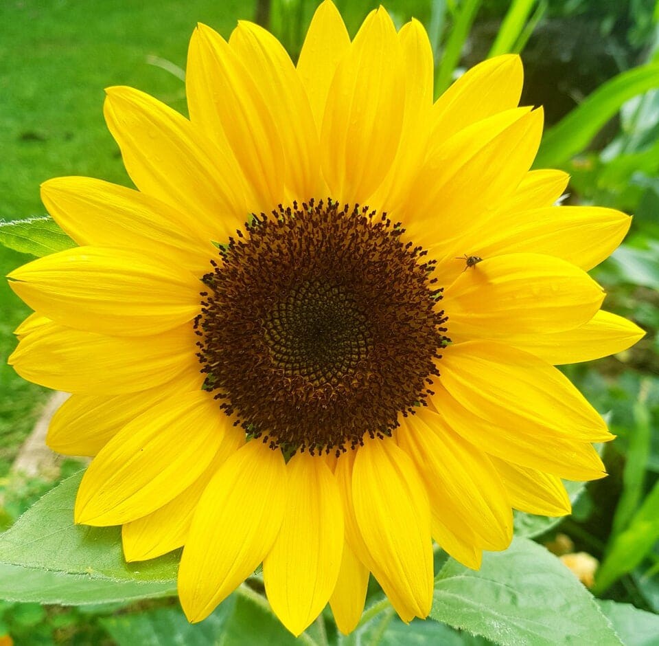 Photos For Perfectionists (23 pics)