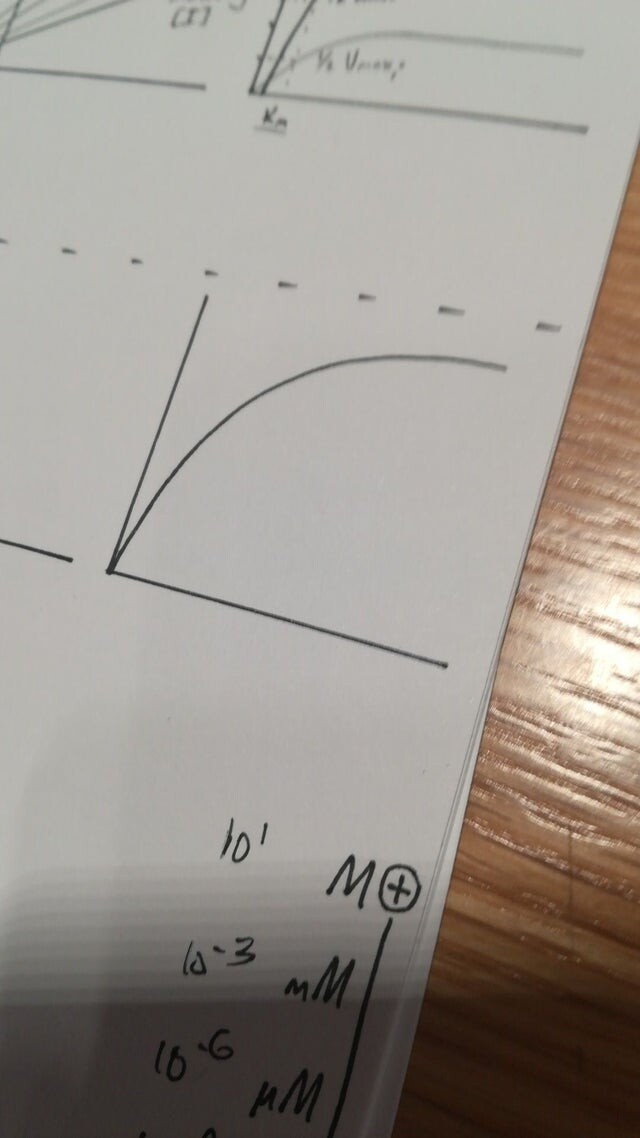 Photos For Perfectionists (23 pics)