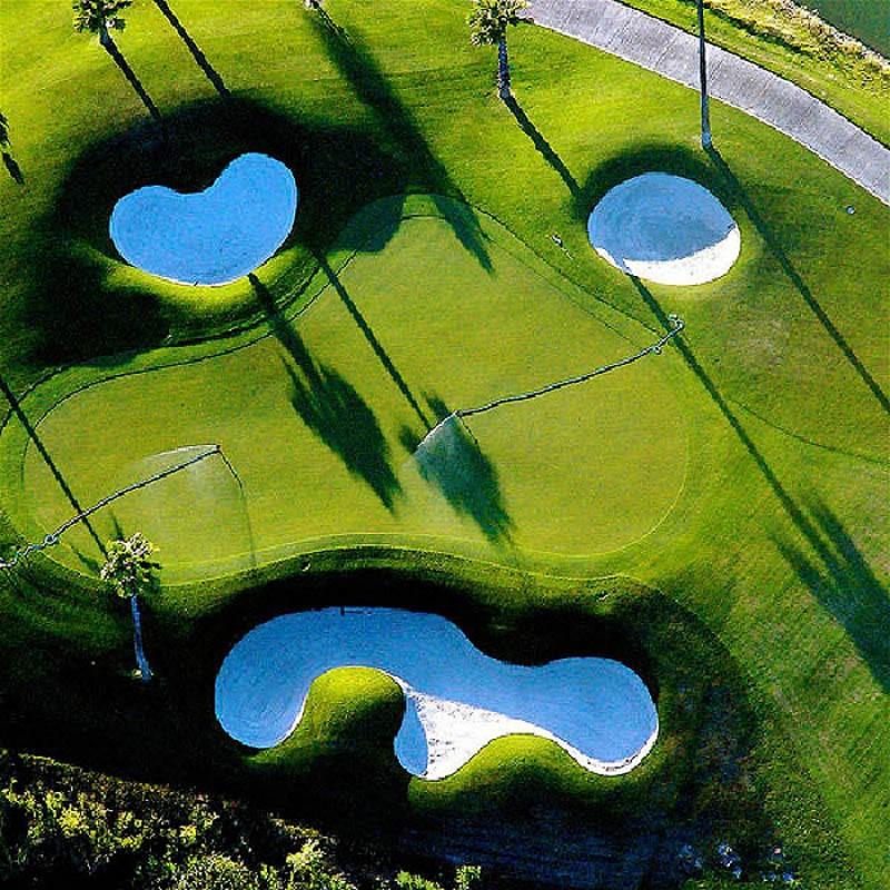 This Is Pareidolia (18 pics)