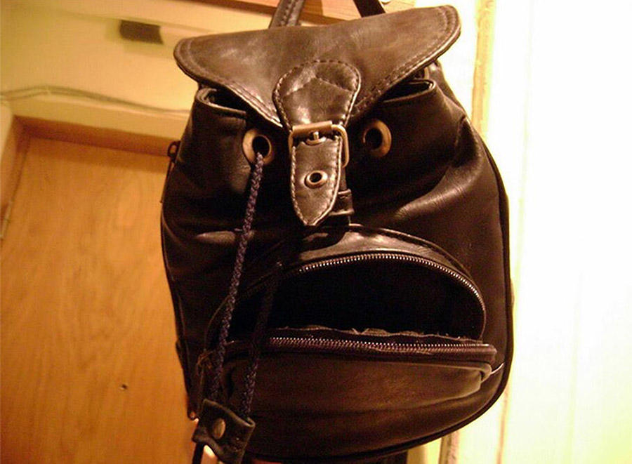 This Is Pareidolia (18 pics)