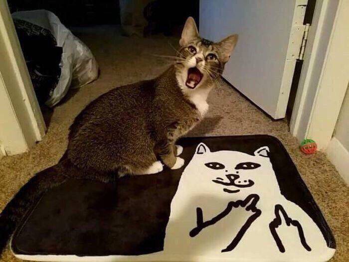 Daily Pictures. Part 1 (72 pics) Daily Pictures. Part 1 (72 pics)