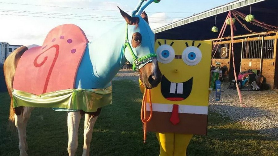 Daily Pictures. Part 1 (72 pics) Daily Pictures. Part 1 (72 pics)