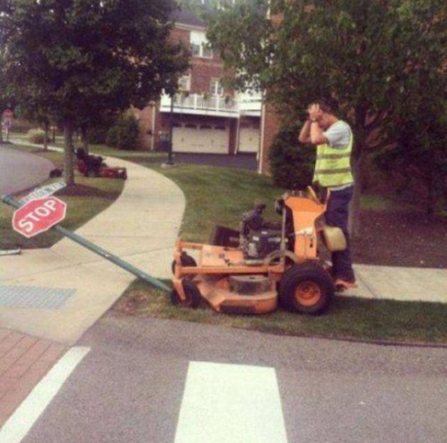 Daily Pictures. Part 1 (72 pics) Daily Pictures. Part 1 (72 pics)