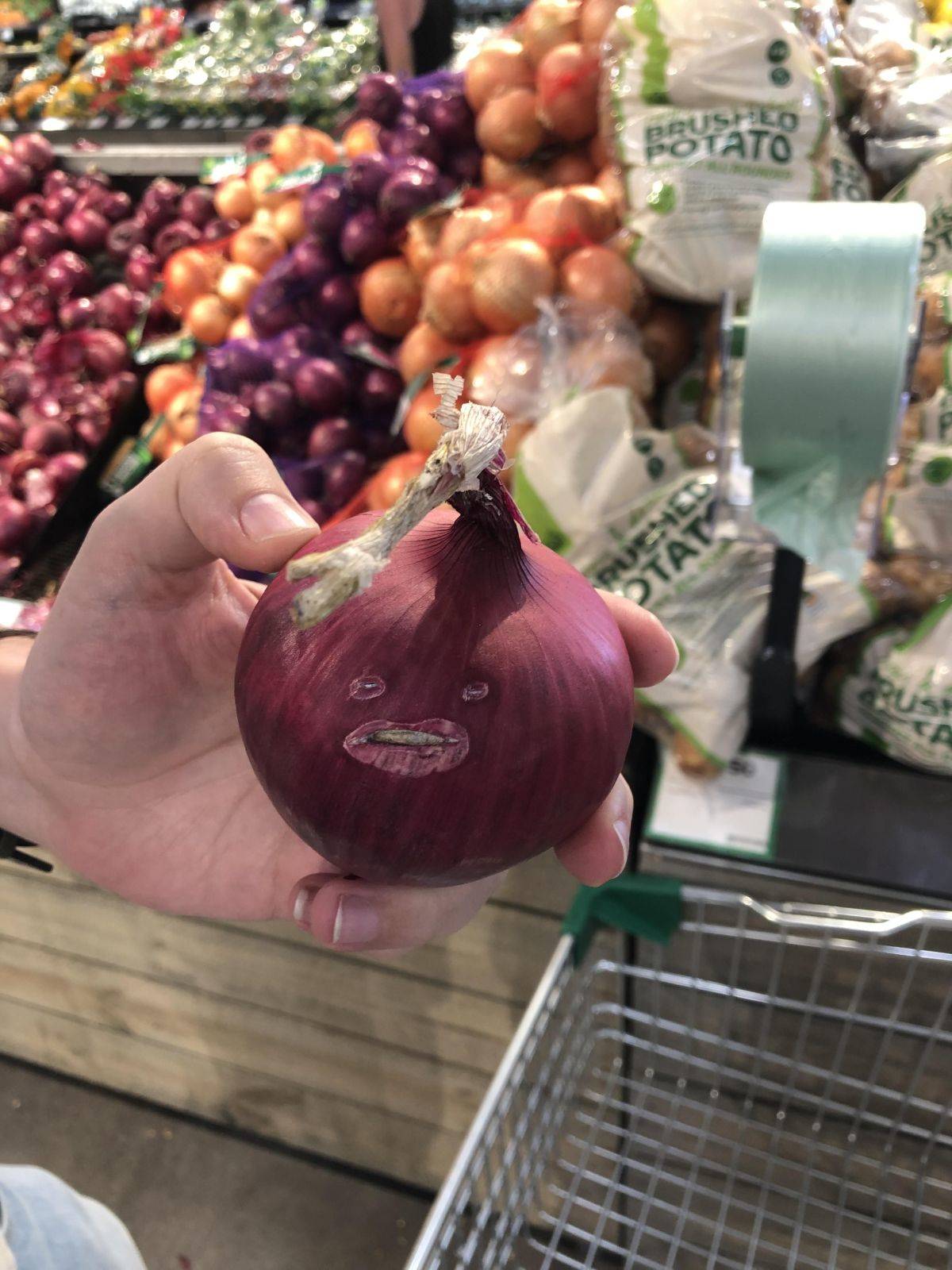 Daily Pictures. Part 1 (72 pics) Daily Pictures. Part 1 (72 pics)