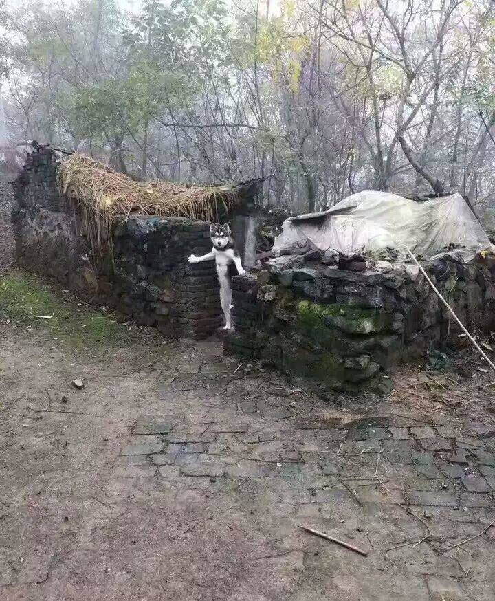 Daily Pictures. Part 1 (72 pics) Daily Pictures. Part 1 (72 pics)