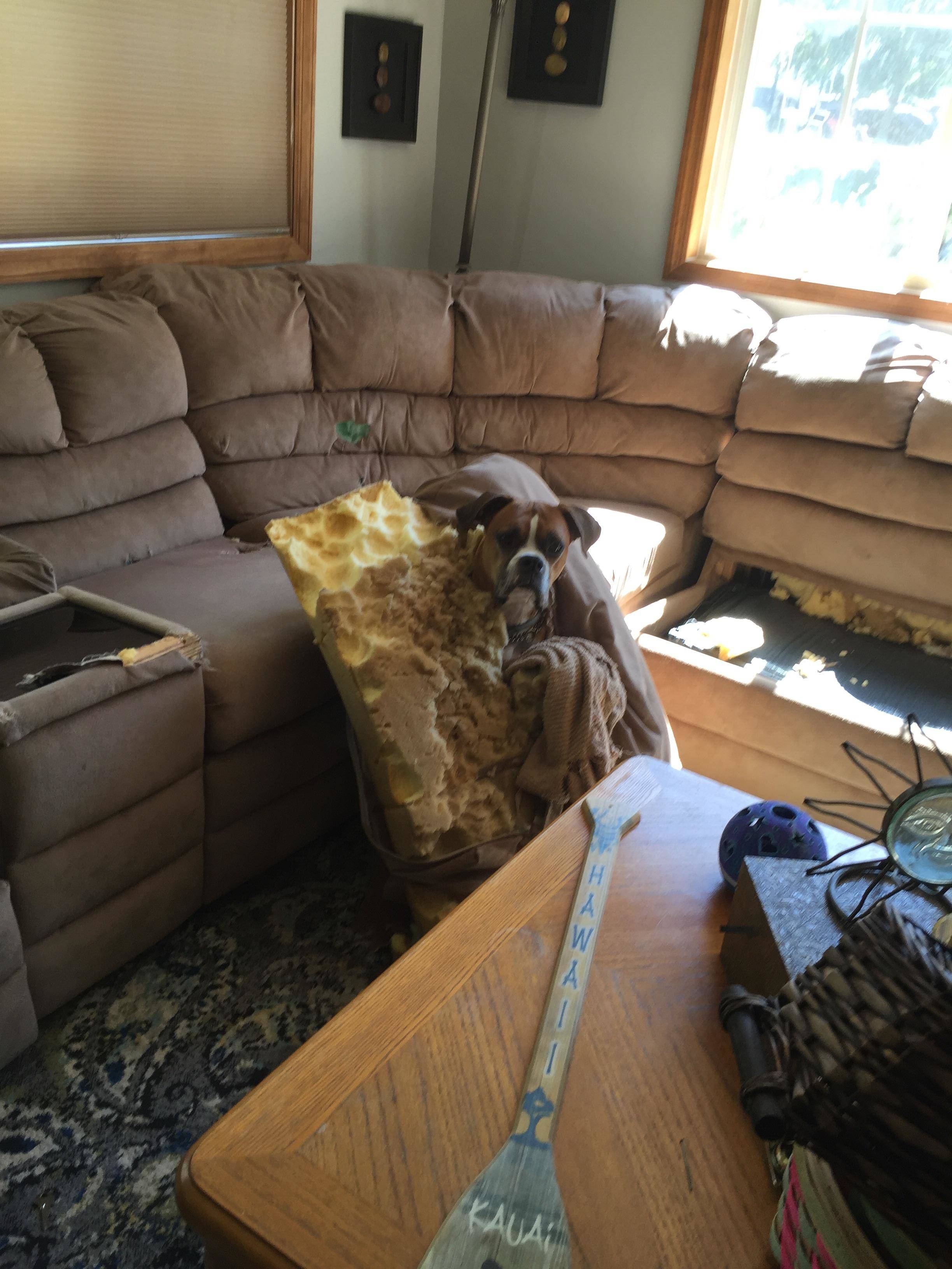 Daily Pictures. Part 1 (72 pics) Daily Pictures. Part 1 (72 pics)