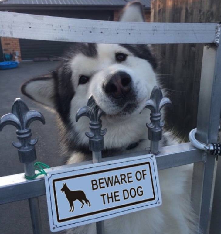 Daily Pictures. Part 1 (72 pics) Daily Pictures. Part 1 (72 pics)