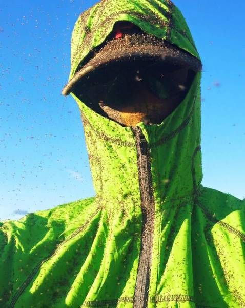 Daily Pictures. Part 1 (72 pics) Daily Pictures. Part 1 (72 pics)