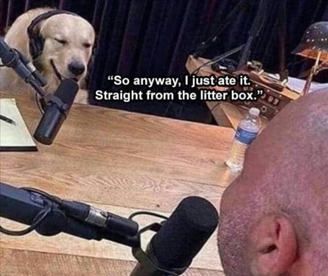 Daily Pictures. Part 2 (71 pics)