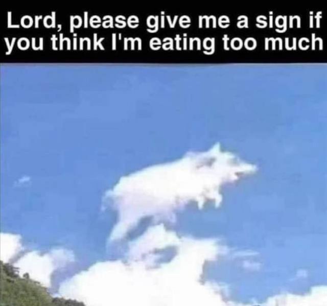 Daily Pictures. Part 2 (71 pics)