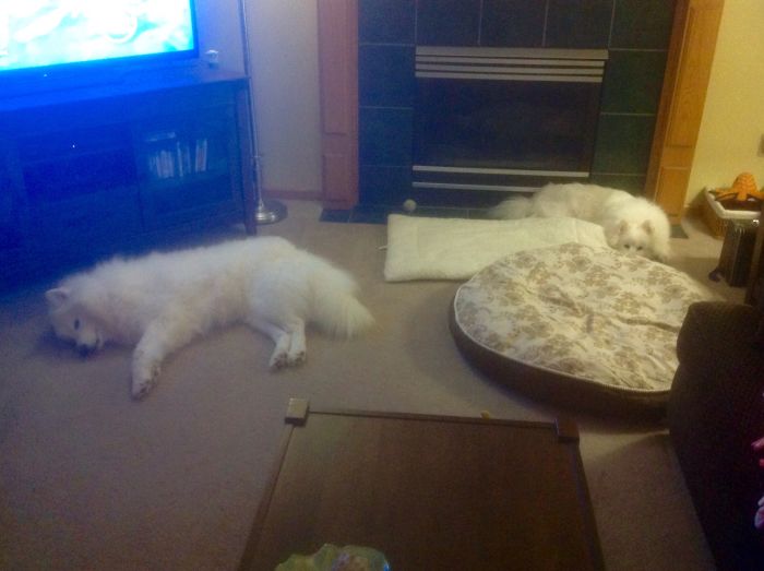 Daily Pictures. Part 1 (72 pics) Daily Pictures. Part 1 (72 pics)