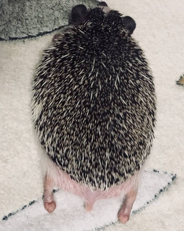 Daily Pictures. Part 1 (72 pics) Daily Pictures. Part 1 (72 pics)