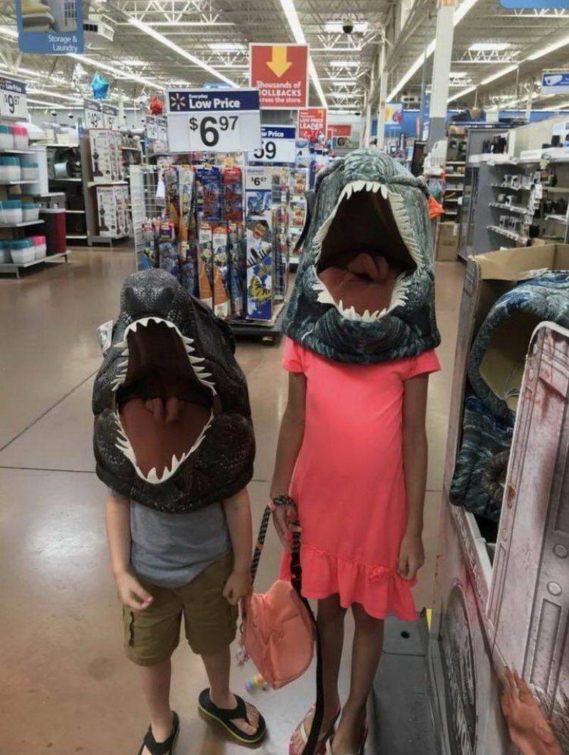 Daily Pictures. Part 2 (71 pics)