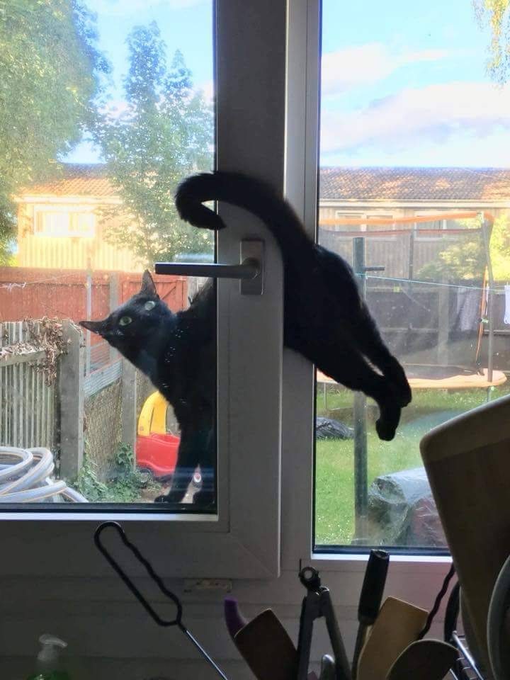 Daily Pictures. Part 2 (71 pics)