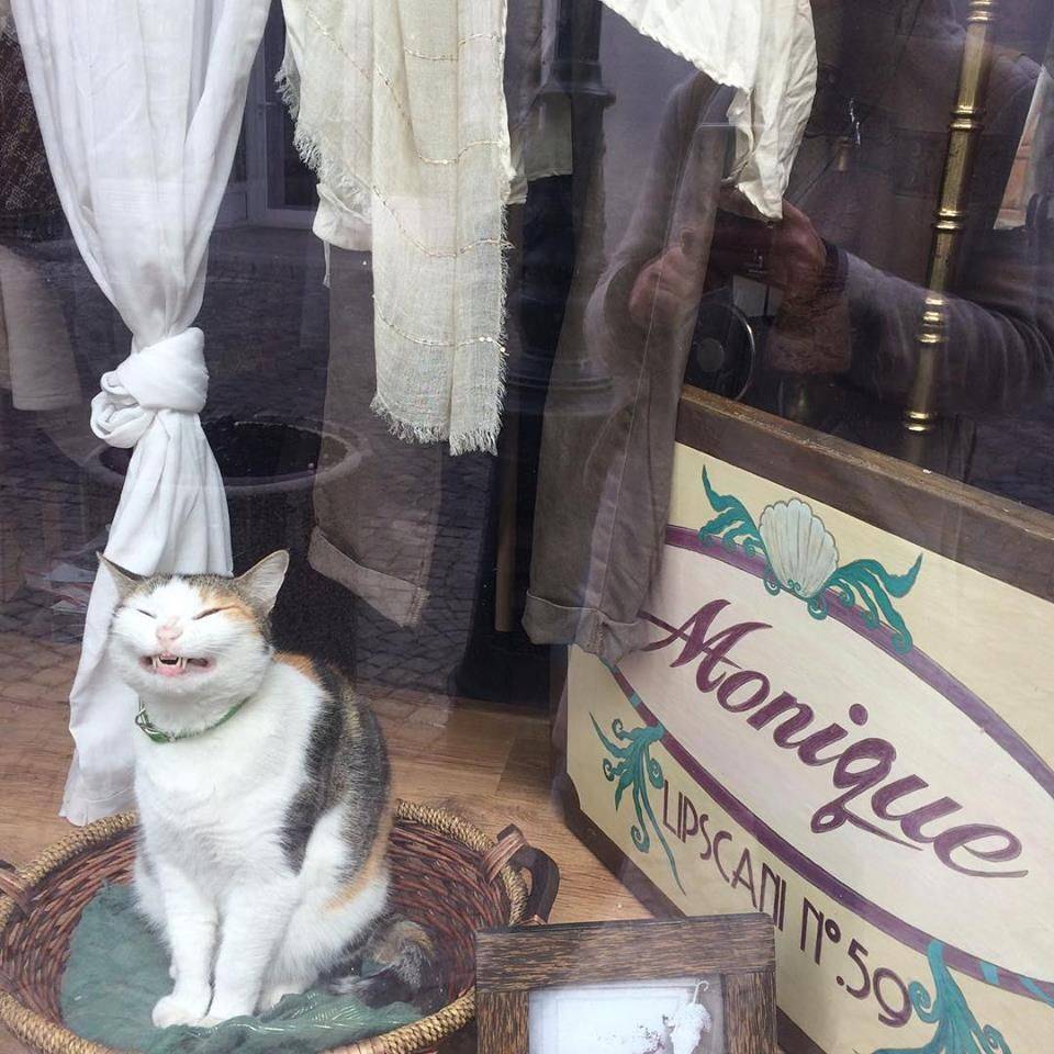 Daily Pictures. Part 2 (71 pics)