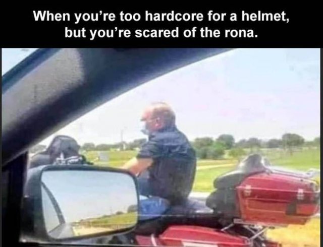 Daily Pictures. Part 2 (71 pics)