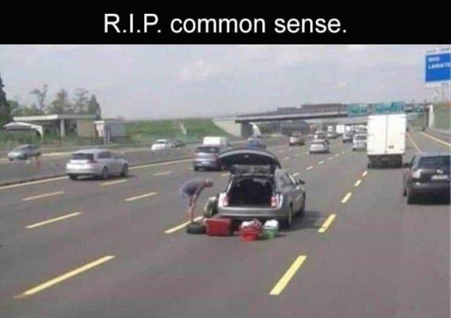 Daily Pictures. Part 2 (71 pics)