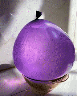 Acid GIFs, January 26 (25 gifs)