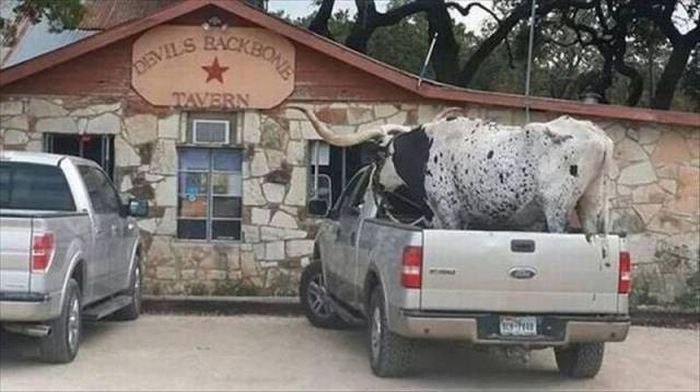 Daily Pictures. Part 1 (67 pics)