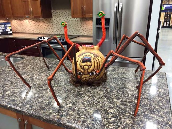 Daily Pictures. Part 1 (67 pics)