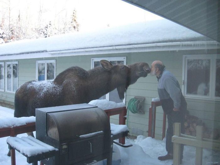 Daily Pictures. Part 1 (67 pics)