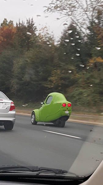 Daily Pictures. Part 1 (67 pics)