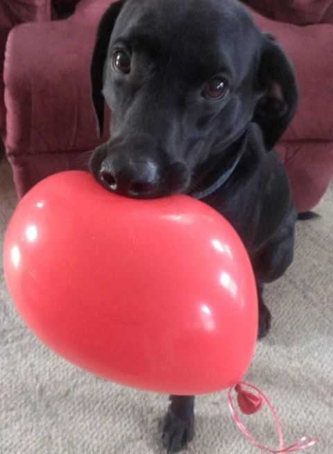 Daily Pictures. Part 1 (67 pics)