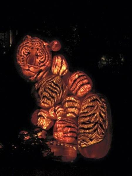 Daily Pictures. Part 1 (67 pics)