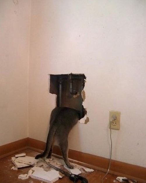 Daily Pictures. Part 1 (67 pics)