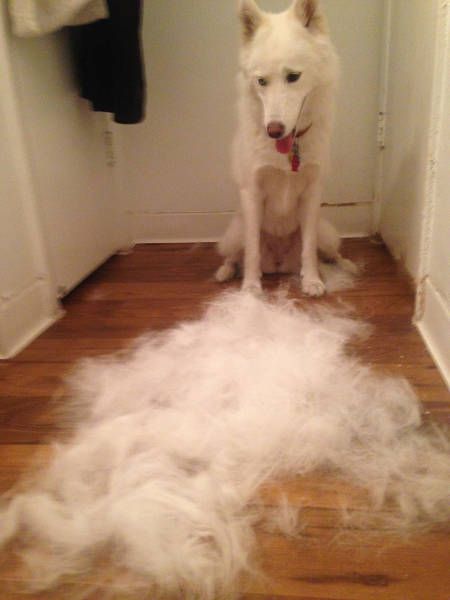 Daily Pictures. Part 1 (67 pics)