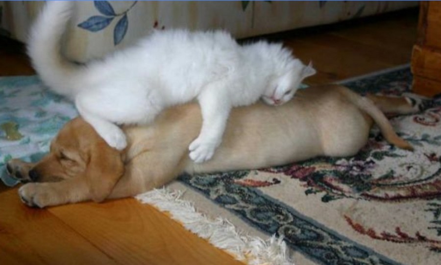 Daily Pictures. Part 1 (67 pics)